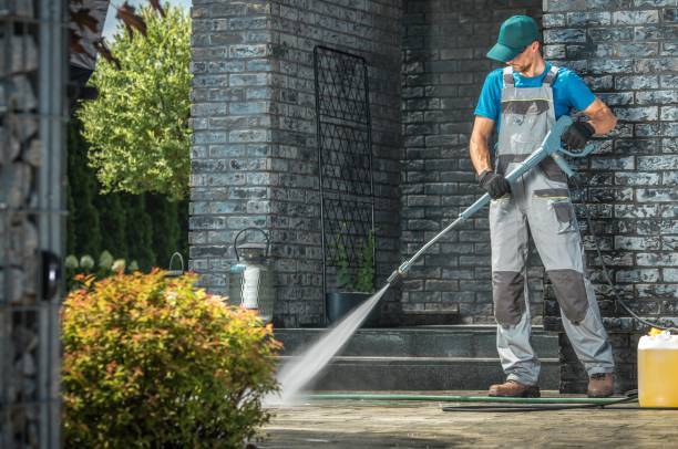 Best Roof Washing  in Jemison, AL